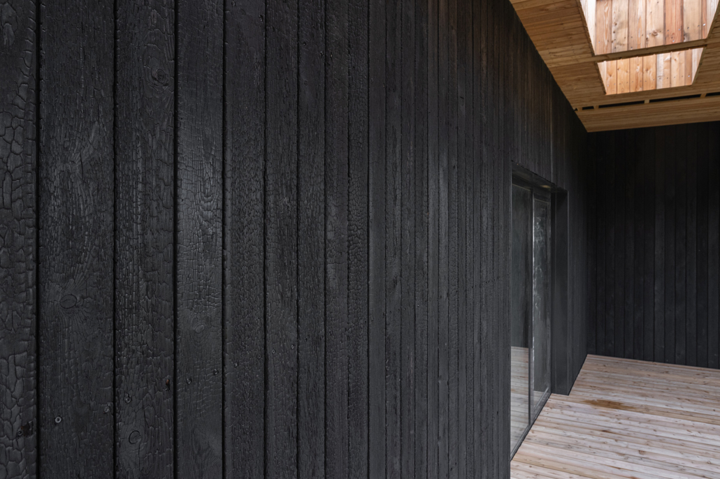 Dark wood project, Lithuania