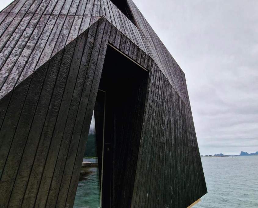 Carbon wood house, Norway