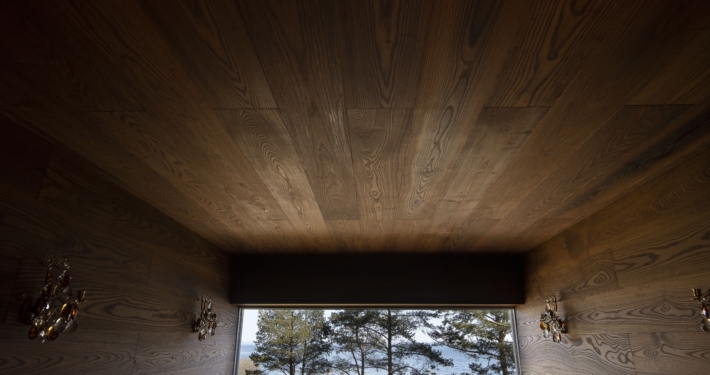 Thermo-ash ceiling and wall panelling