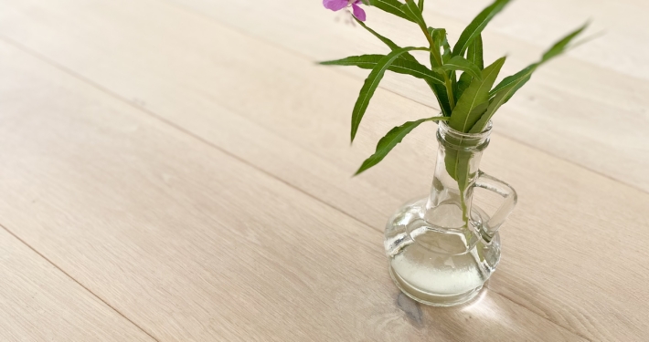 Super-White oak - Põdrakanep